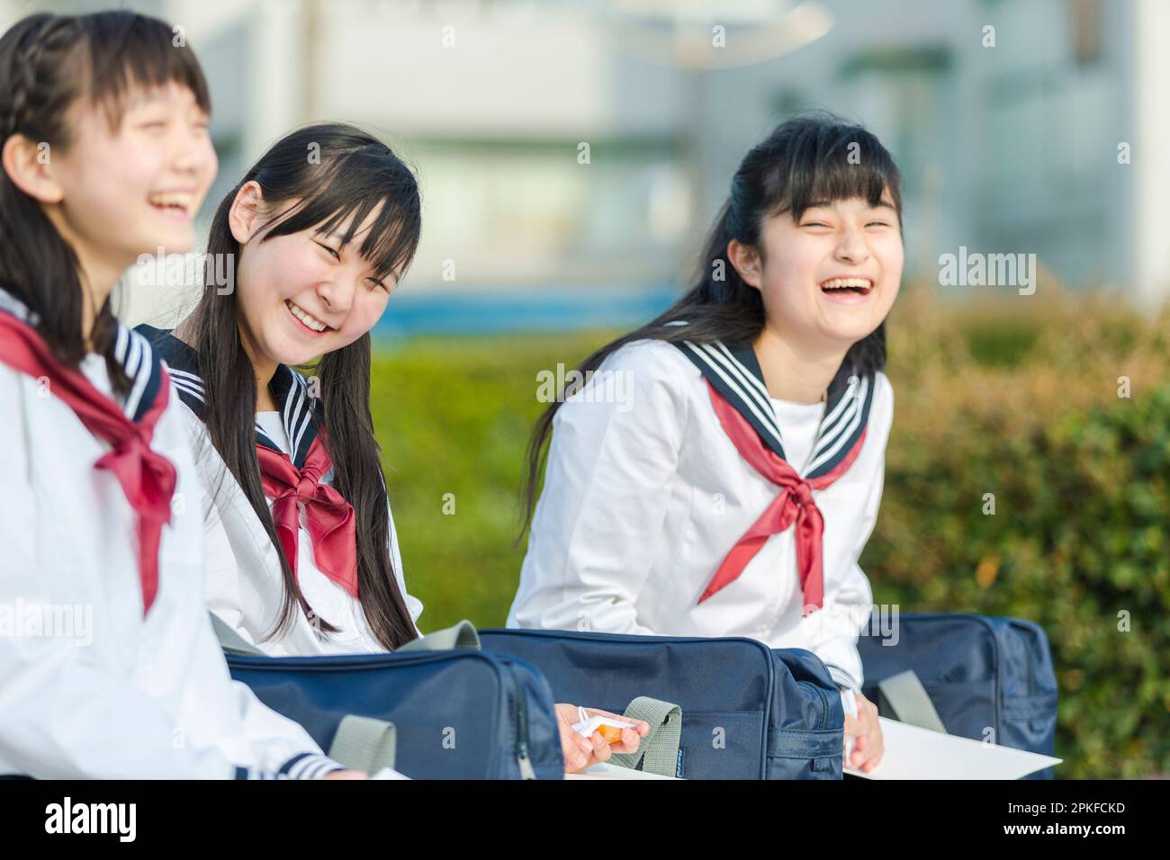 Junge High-School-Mädchen, die im Park studieren Stockfoto