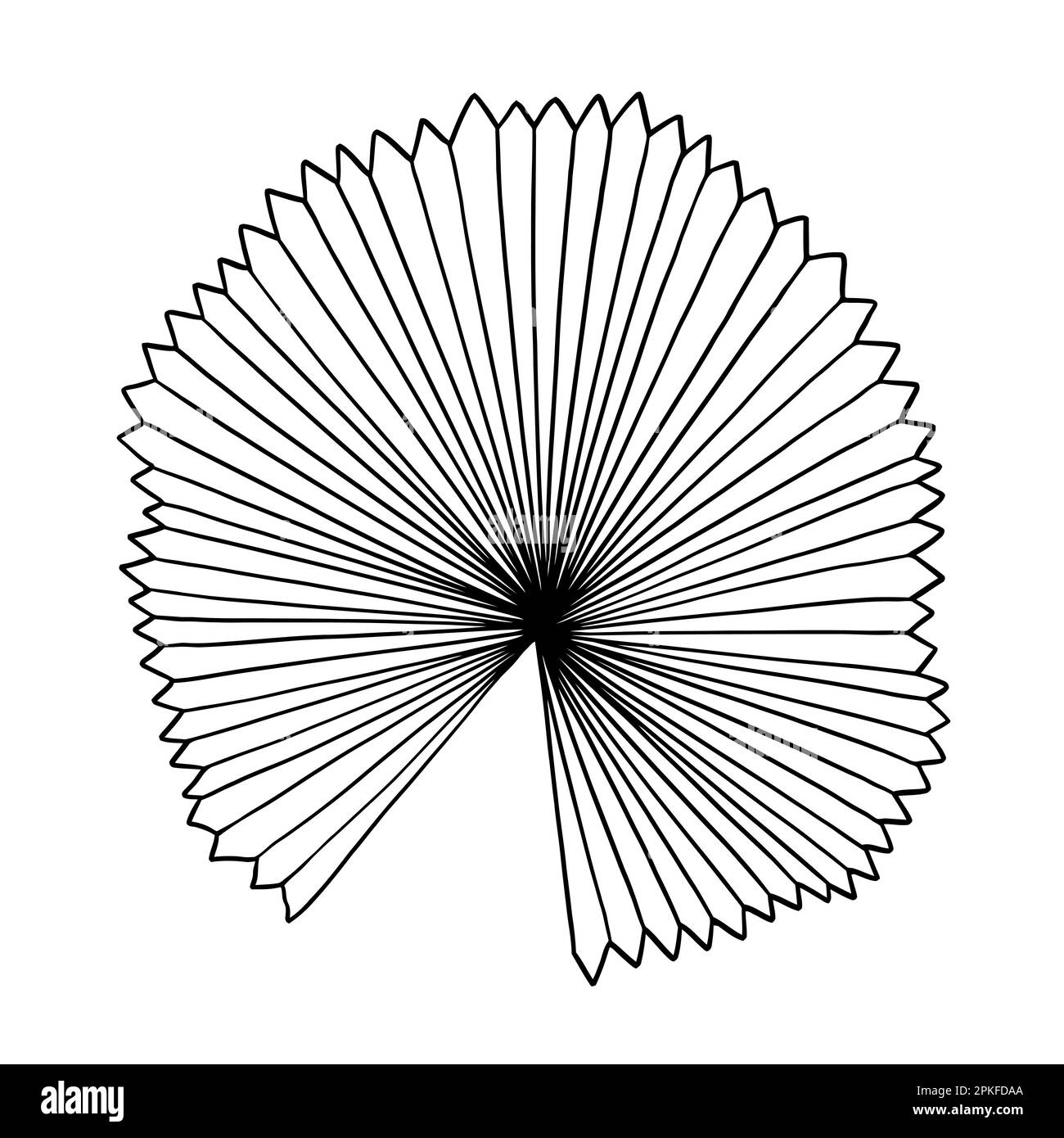 Tropische Dschungelpalmen Vektorblatt. Botanisch realistische handgezeichnete Illustration. Isoliert auf weiß. Stock Vektor