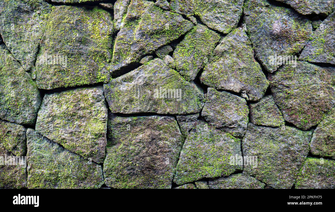 Grünes Moos an den Steinwänden für natürlichen Hintergrund und Tapeten Stockfoto