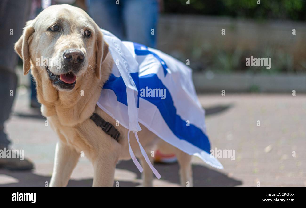 Zivile Proteste in der Stadt Rehovot Israel gegen den geplanten Wechsel der israelischen Regierung zum Obersten Gerichtshof Stockfoto