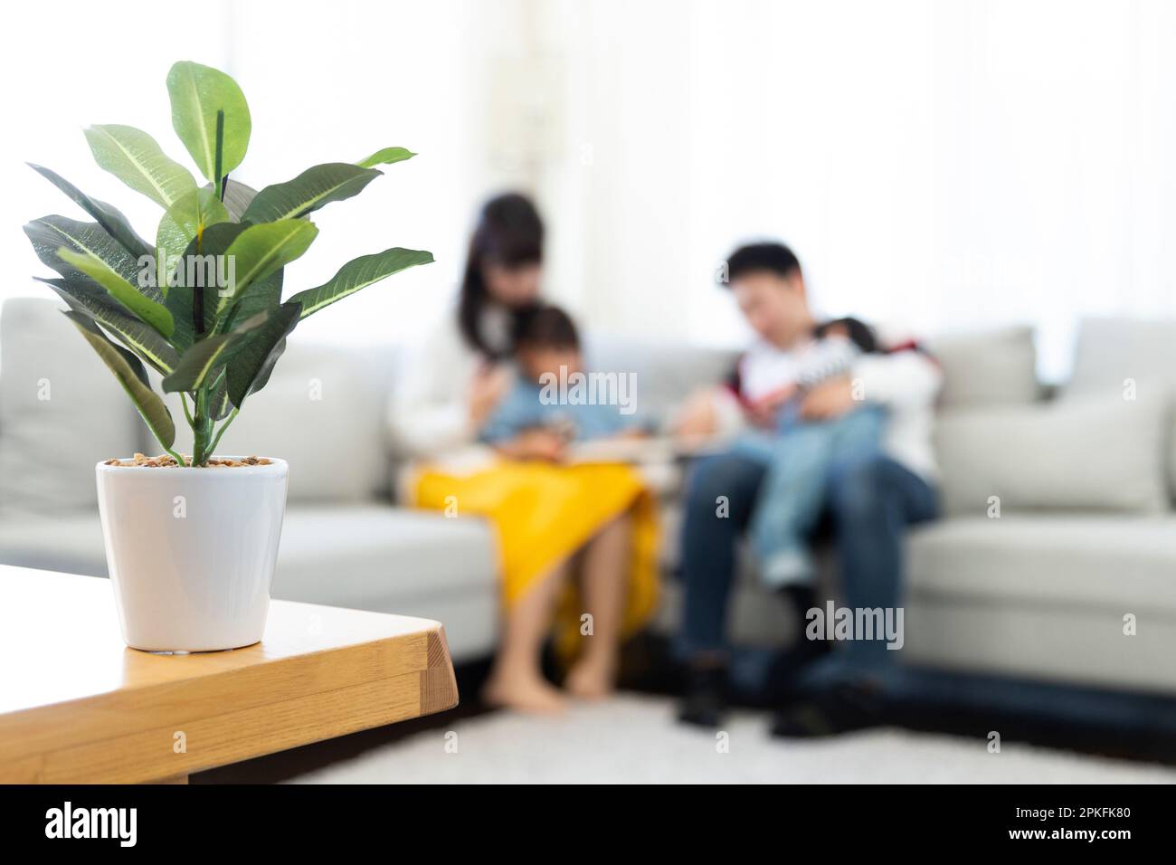 Familienszene durch Zimmerpflanzen gesehen Stockfoto