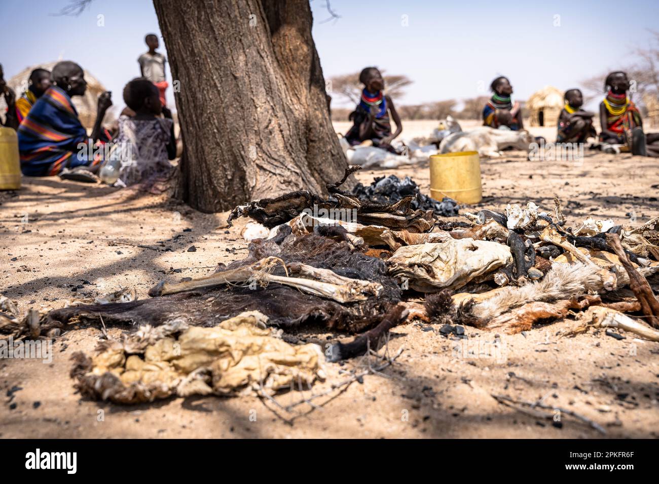 Kenia. 17. Februar 2023. Hungernde Bevölkerung in den Dörfern im Norden Kenias der Klimawandel verursacht in Ostafrika die schlimmste Dürre in seiner Geschichte: Es hat in dieser Region seit mehr als drei Jahren nicht mehr geregnet, und mehr als 36 Millionen Menschen sind mit den verheerenden Folgen einer Welle konfrontiert, die laut Prognosen nicht in absehbarer Zeit enden wird. In Turkana, nördlich von Kenia, kämpfen die Menschen, um diese schreckliche Dürre zu überleben. Kredit: SOPA Images Limited/Alamy Live News Stockfoto