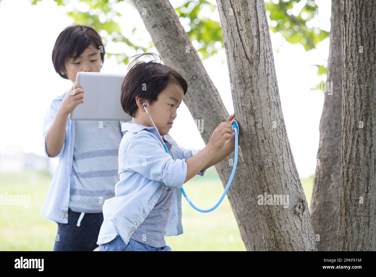 Der kleine Bruder hört mit dem Stethoskop an einem Baum zu und sein älterer Bruder nimmt den Ton mit einem Tablet auf Stockfoto