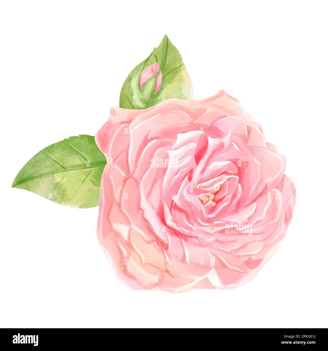 Aquarell mit Blumenmotiv. Blumenstrauß mit zarten Rosen für Karten, Hochzeitseinladung Stockfoto