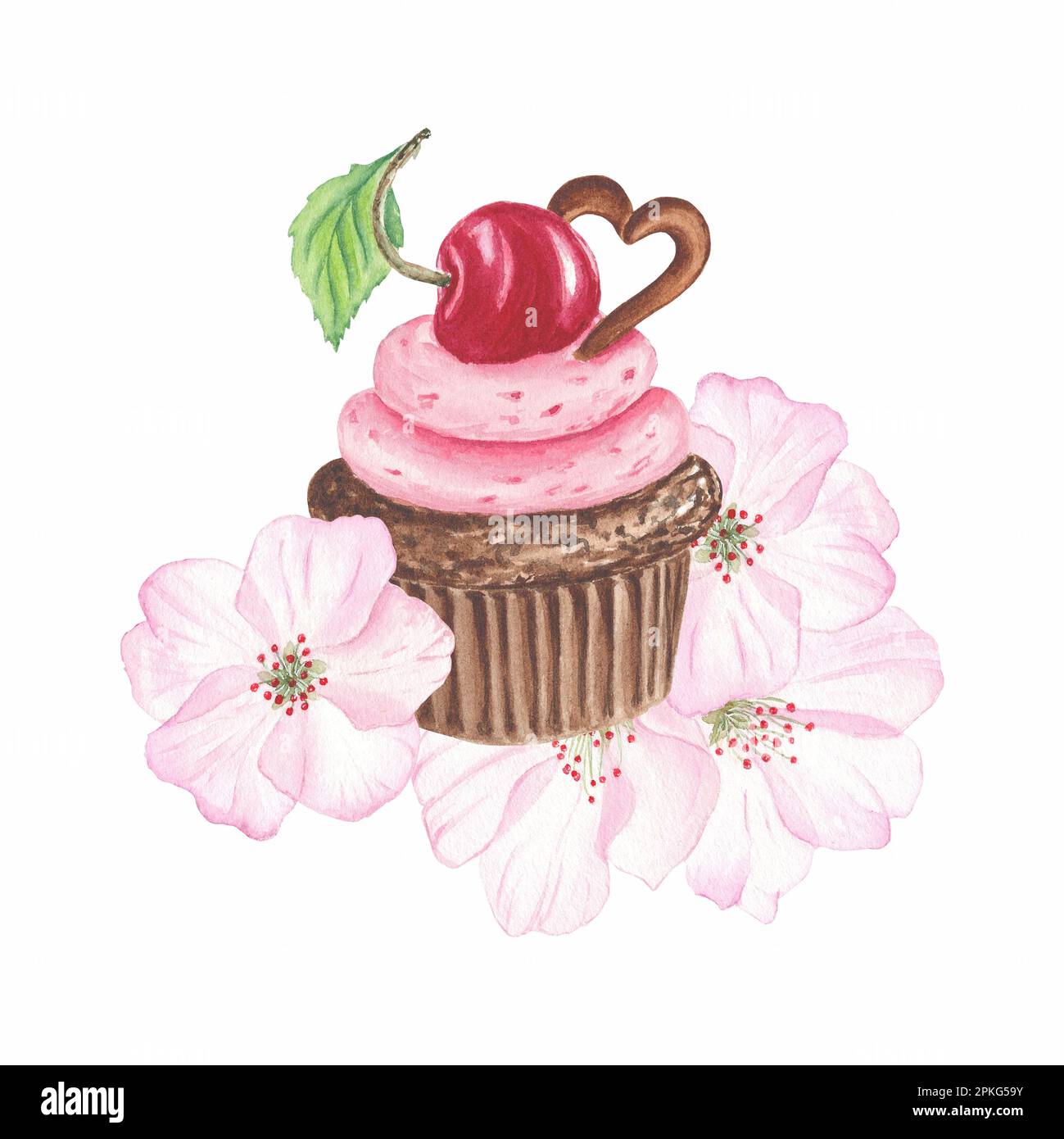 Kirschdessert, gebacken in Kirschblumen, Kirschkuchen, Cupcake in rosa Glasur. Zuckerblume. Aquarell isolierte Abbildungen für Beschriftungen, Menü Stockfoto