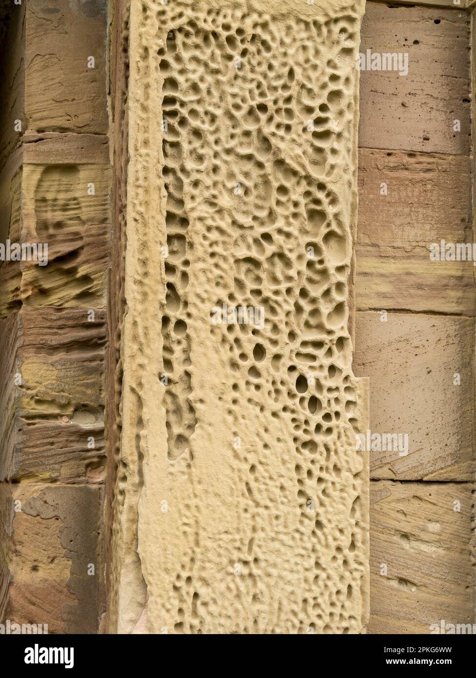 Wabenholz verwittertes Mauerwerk aus verwittertem Stein, Derbyshire, Großbritannien Stockfoto