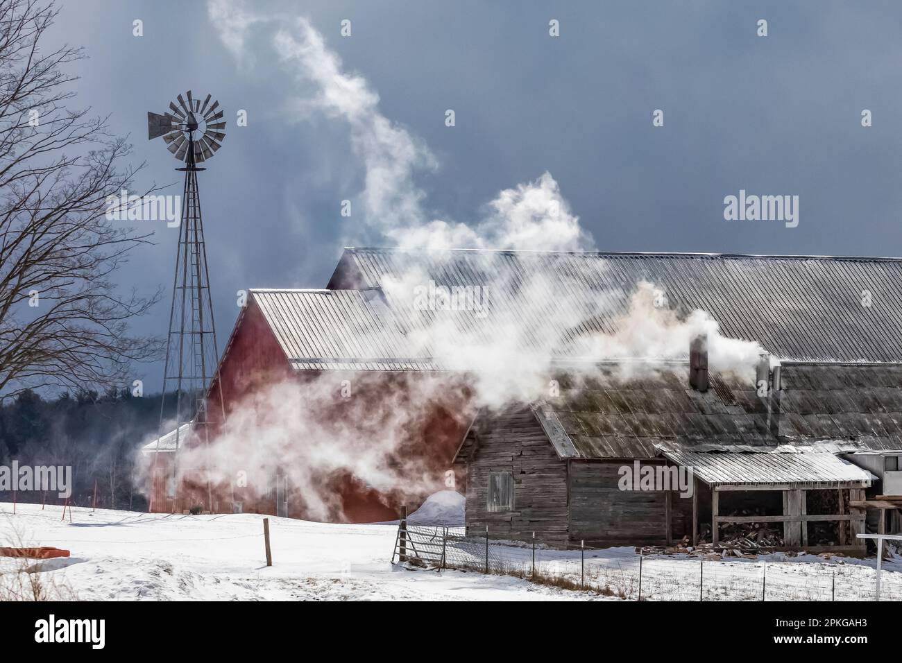 Ahornsirupzuckerhütte auf einem Amish-Bauernhof in Zentral-Michigan, USA [Keine Freigabe; nur redaktionelle Lizenzierung] Stockfoto