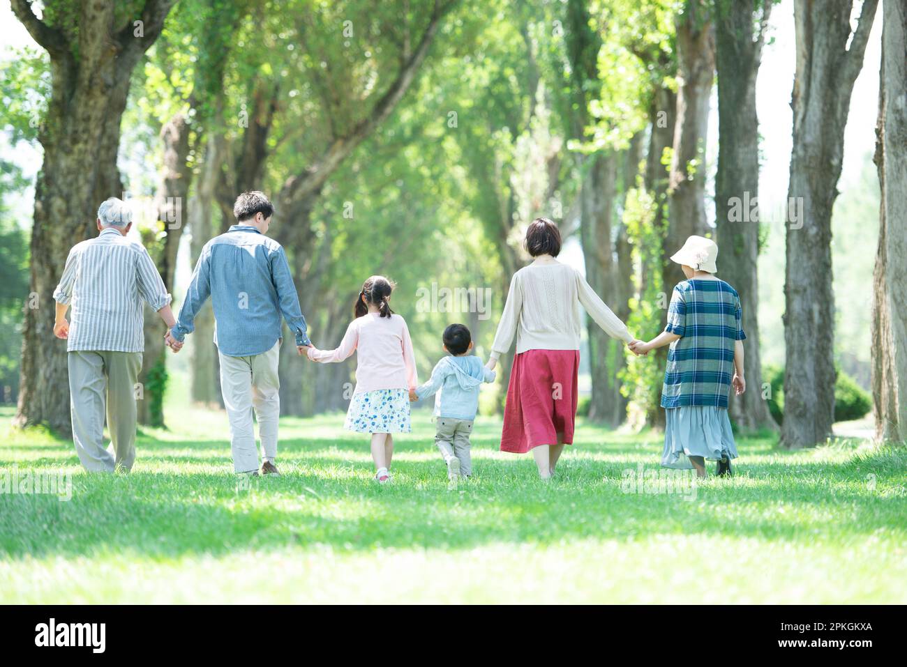 Rückansicht einer Familie von drei Generationen, die eine Reihe von Pappelbäumen entlang spaziert Stockfoto
