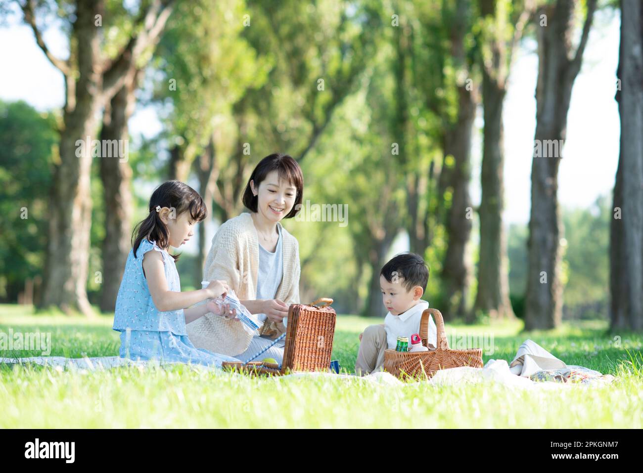 Eltern und Kinder machen ein Picknick in einem Park mit Pappelbäumen Stockfoto