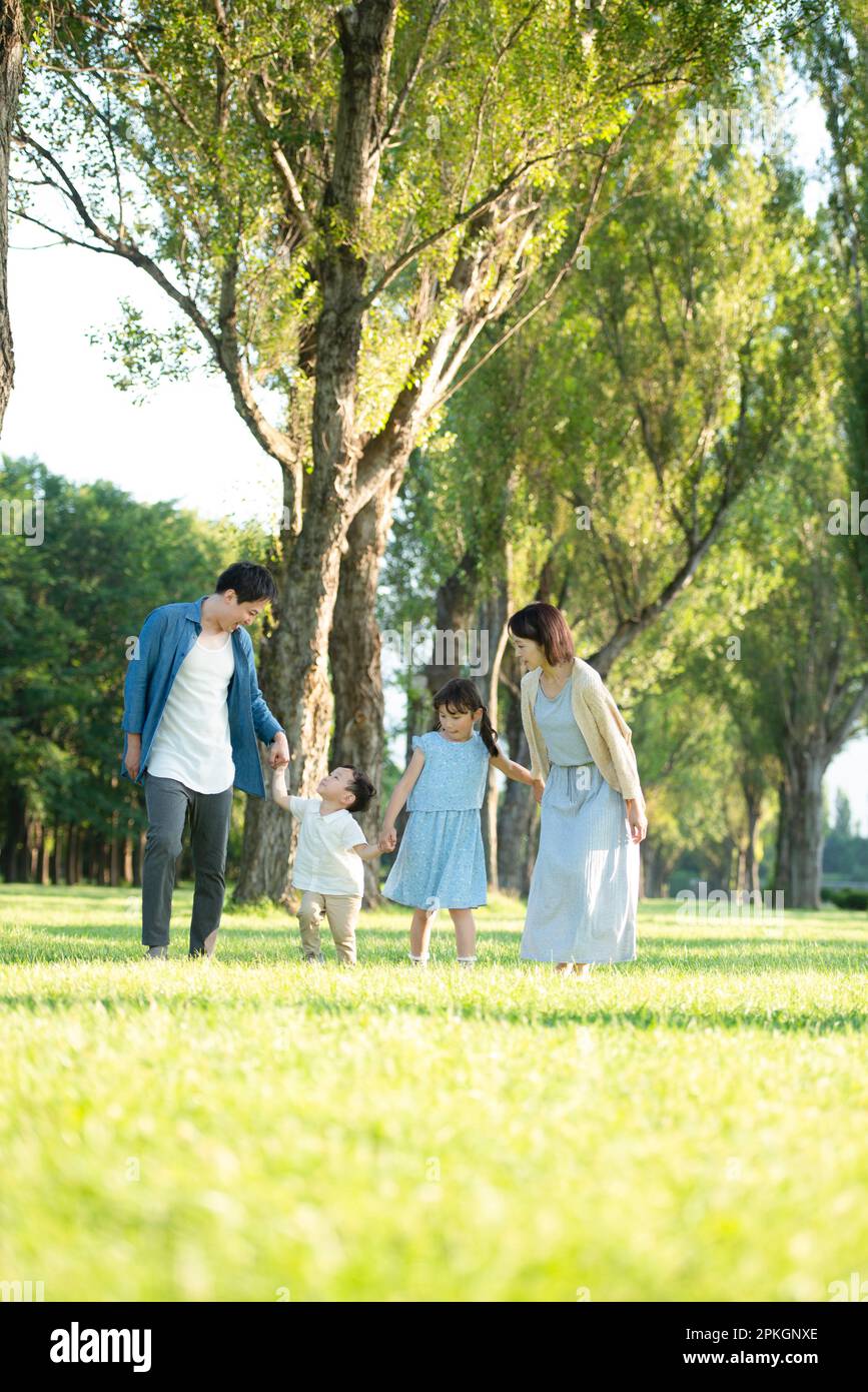 Die Familie spaziert auf Pappelbäumen Stockfoto