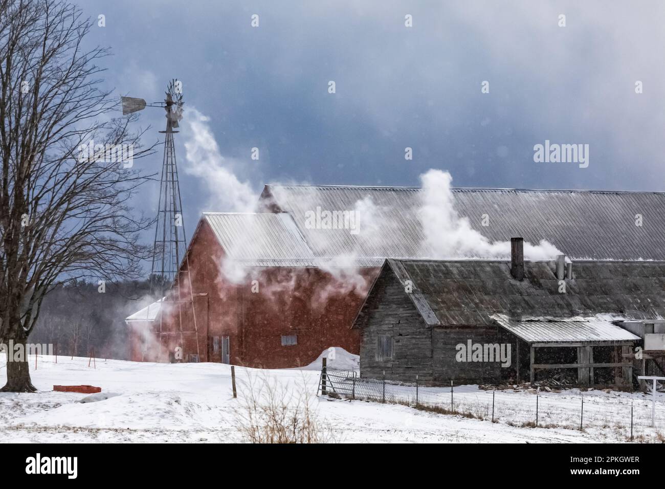 Ahornsirupzuckerhütte auf einem Amish-Bauernhof in Zentral-Michigan, USA [Keine Freigabe; nur redaktionelle Lizenzierung] Stockfoto