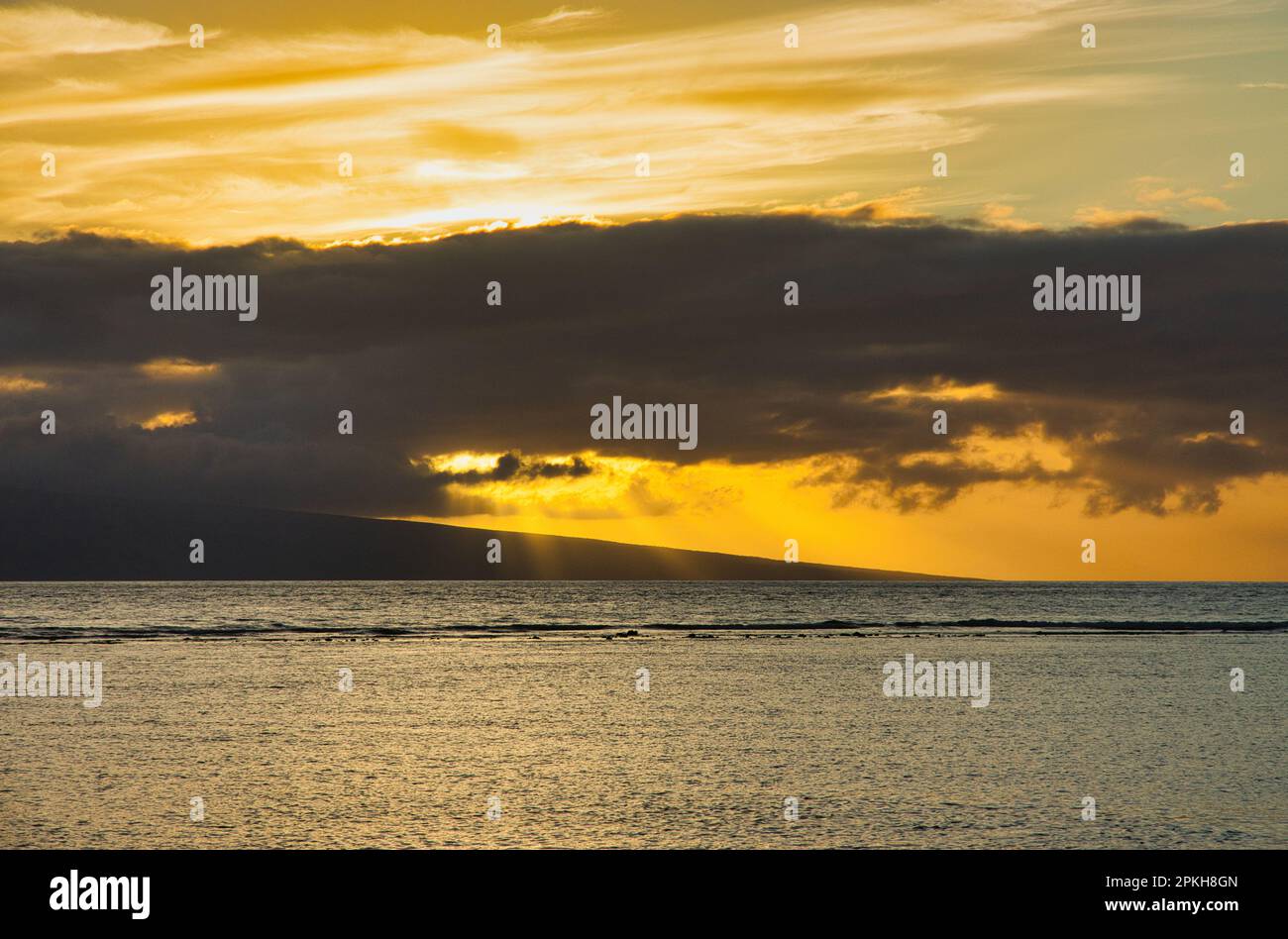 Surrealer Sonnenuntergang mit Palmensilhouette Stockfoto