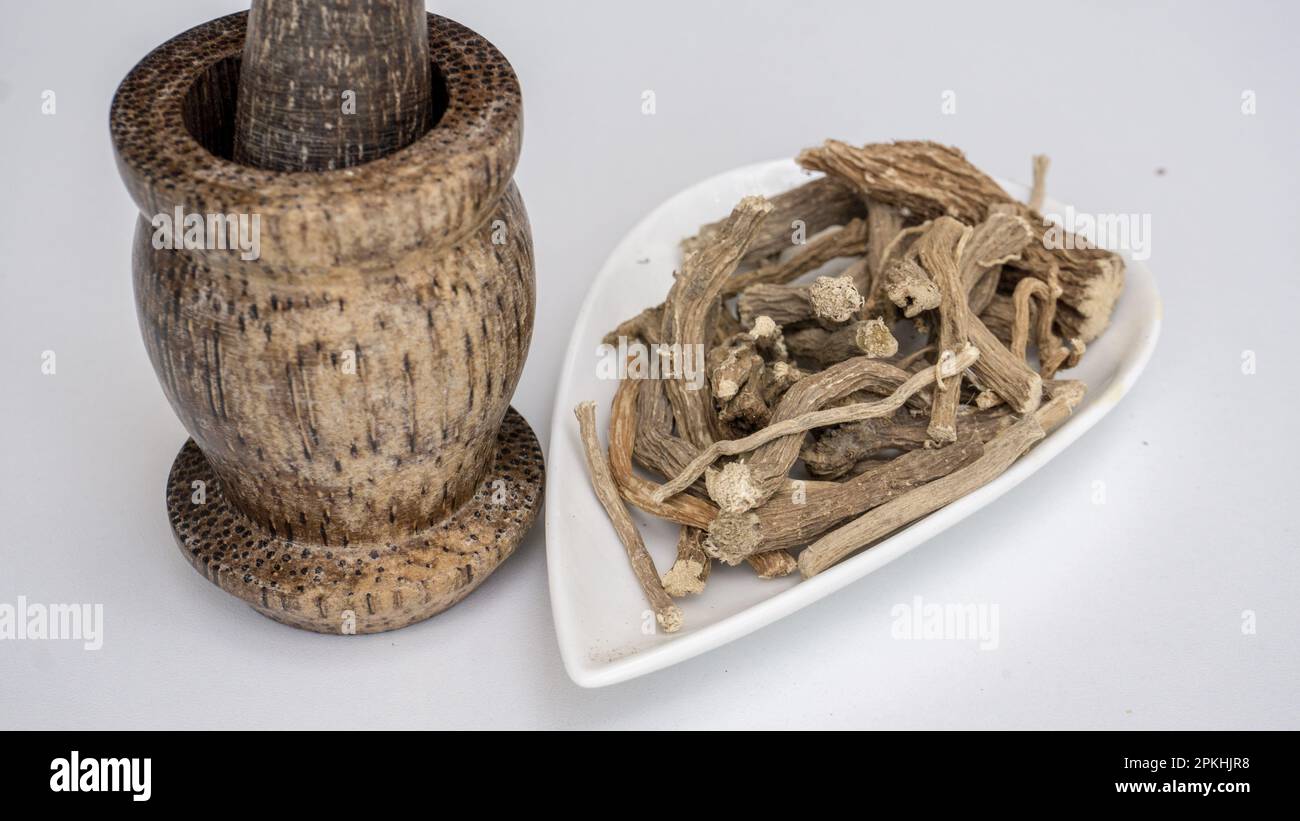 Schweinekraut, Boerhavia diffusa, getrocknete Wurzeln, auf weißer Keramikschüssel. Stockfoto