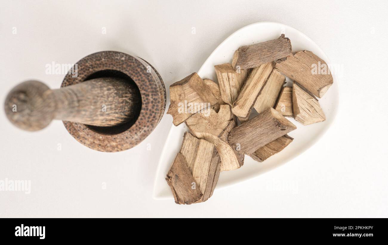 Vitex negundo/Chinesische keusche Baumayurvedische Pflanzenrinde Stockfoto