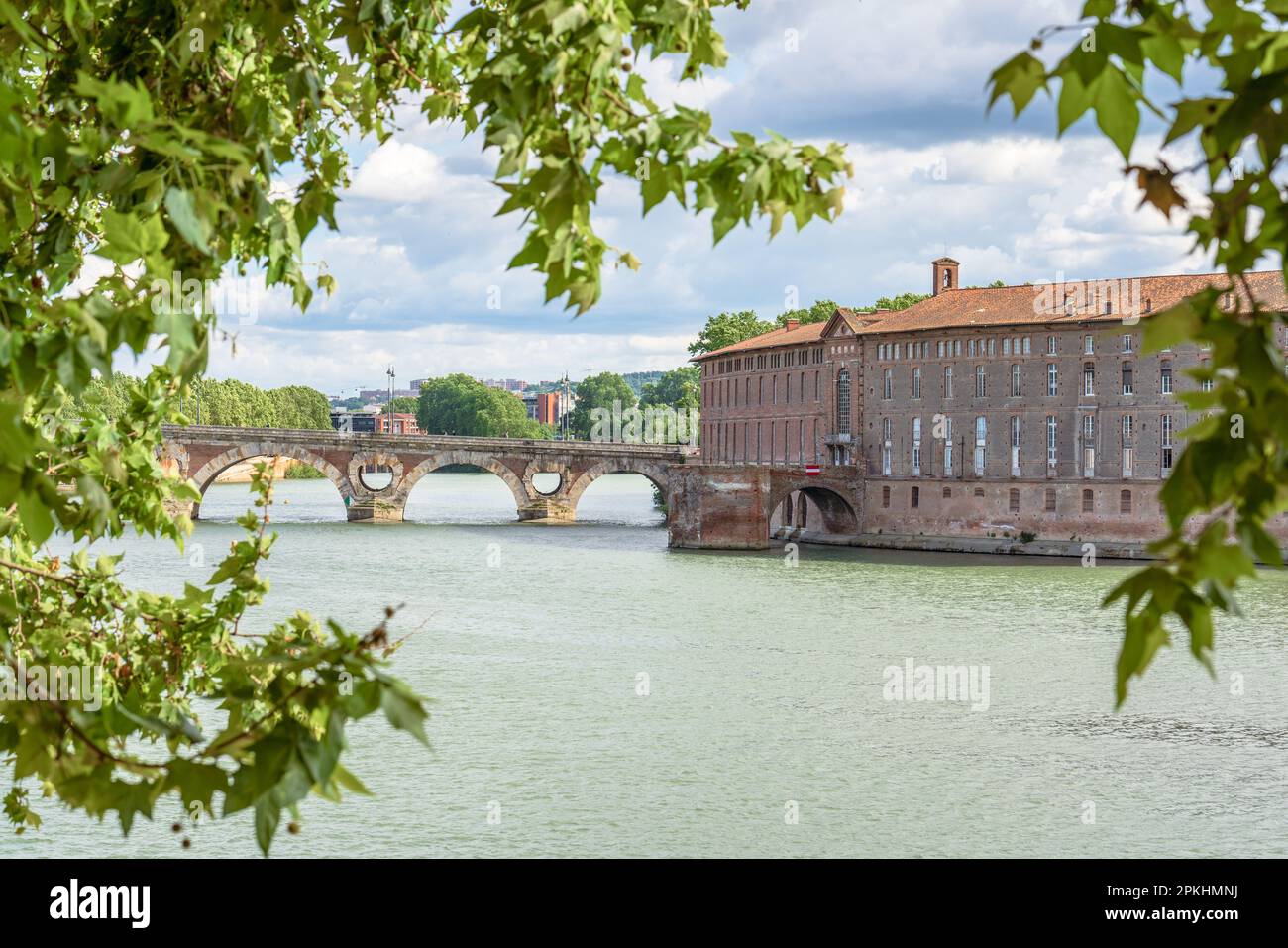 Toulouse, Frankreich. Malerischer Blick auf den Fluss Garonne und die Pont Neuf Stockfoto