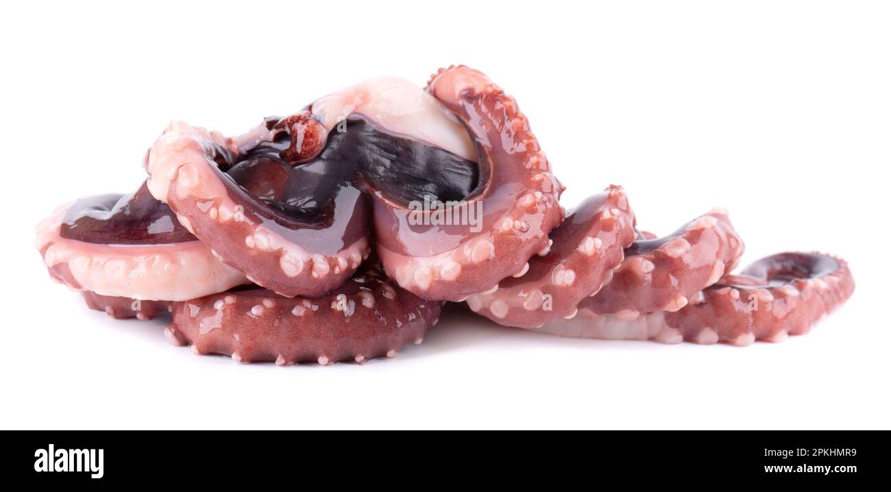 Tintenfischentakel isoliert auf weißem Hintergrund. Frischer roher Riesenkalmar Stockfoto