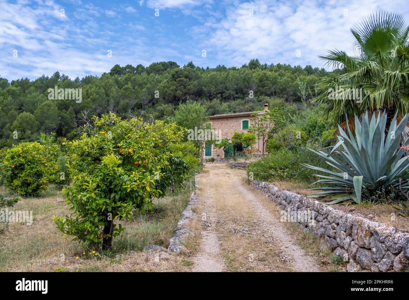 Kleine Finca zwischen Orangenbäumen, Wanderweg von Soller nach Fornalutx, Serra de Tramuntana, Mallorca, Balearen, Spanien Stockfoto