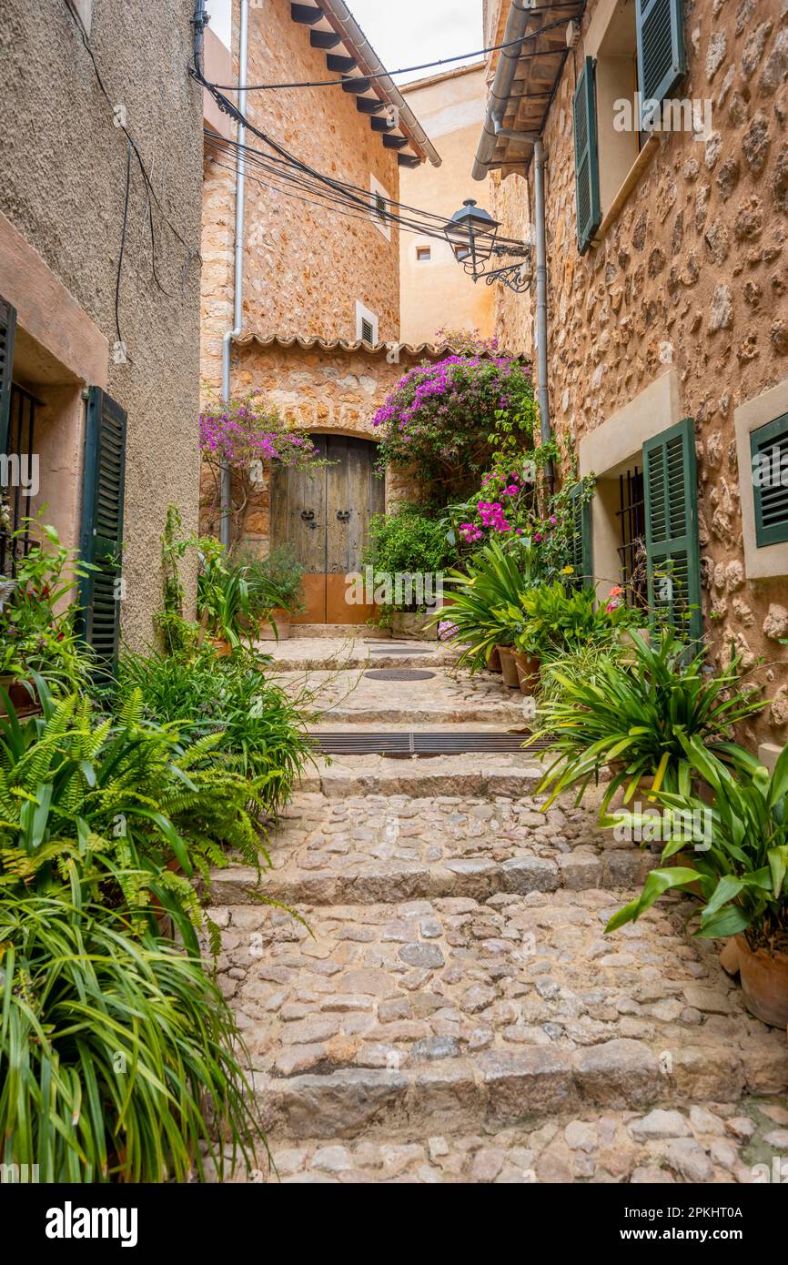 Blumentöpfe in einer Gasse mit typischen Steinhäusern, Fornalutx, Serra de Tramuntana, Mallorca, Balearen, Spanien Stockfoto