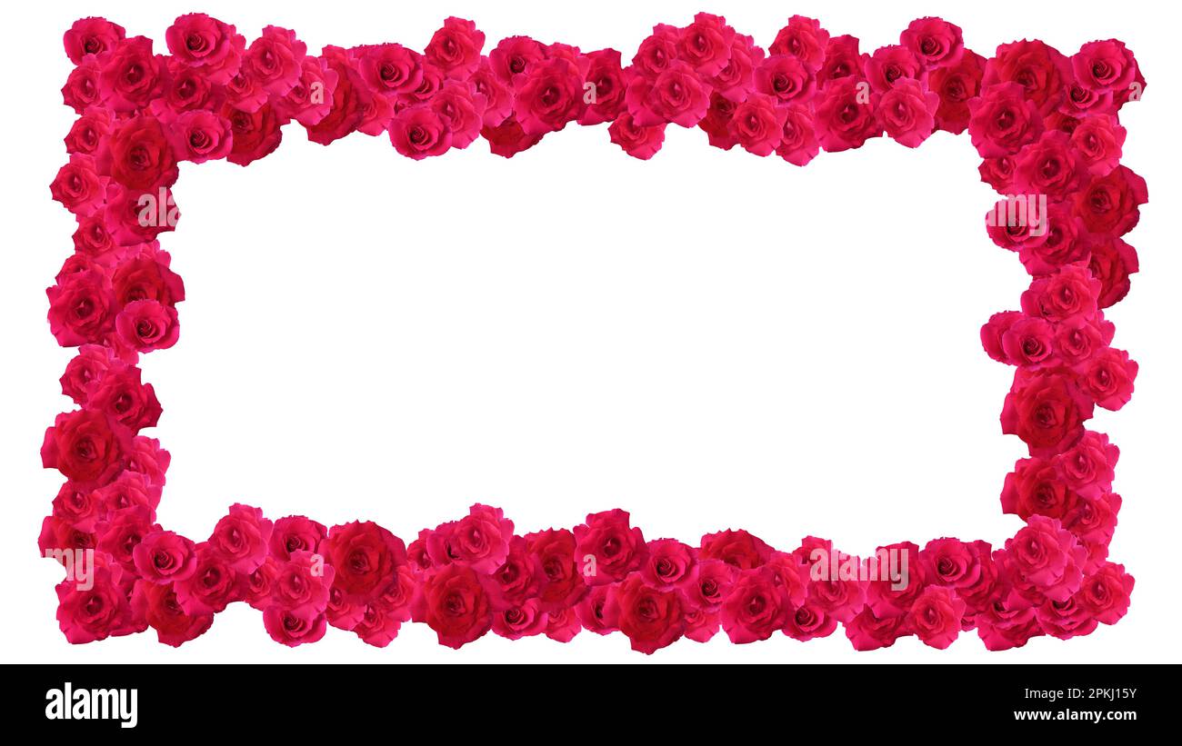 Rahmen aus roten Rosenblumen isoliert auf weißem Hintergrund. Draufsicht. Stockfoto
