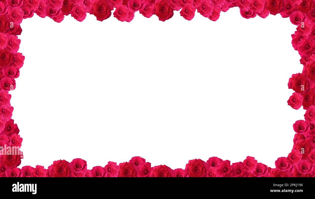 Rahmen aus roten Rosen, isoliert auf weißem Hintergrund. Speicherplatz kopieren. Stockfoto