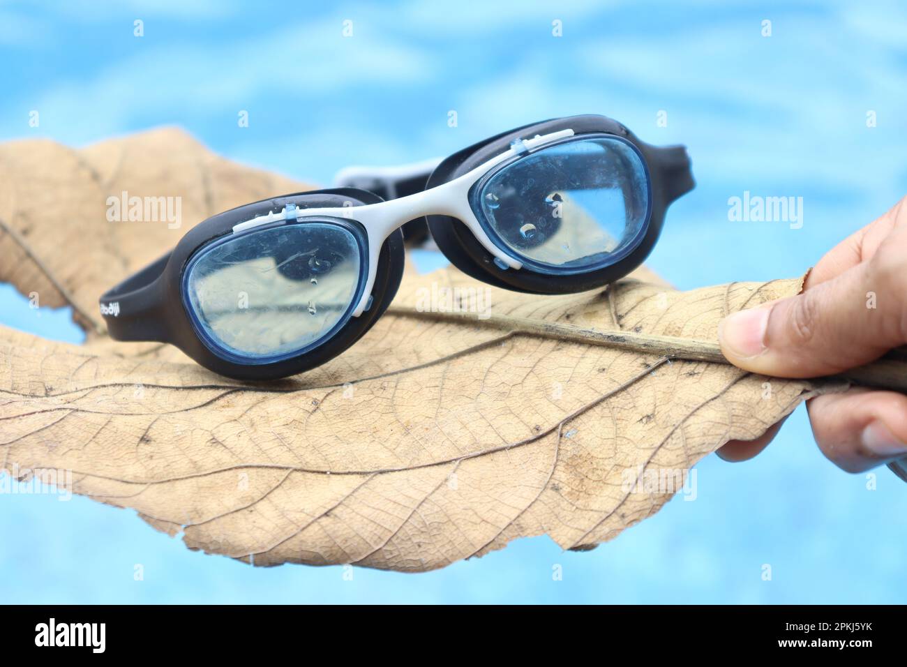 Schwimmbrille auf trockenem Blatt mit blauem Pool im Hintergrund, der das Konzept der Sommeraktivitäten zeigt Stockfoto