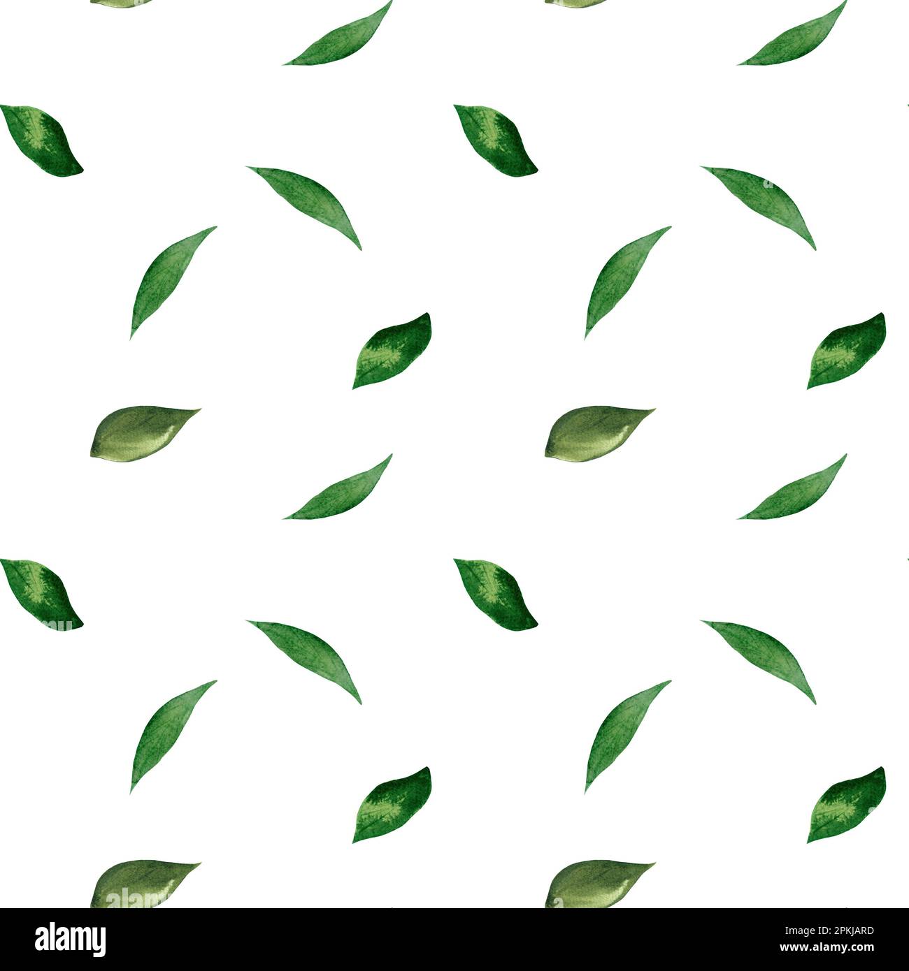 Handgezeichnetes Aquarell-Grün hinterlässt ein nahtloses Muster. Stockfoto