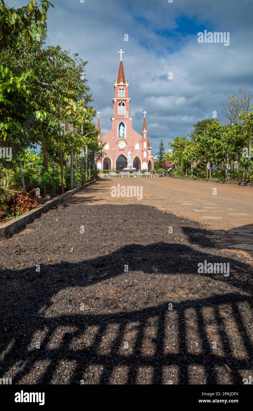 Frisch gepflückte Kaffeekirschen trocknen auf der Einfahrt der katholischen Hoang Yen Kirche in Chu Prong, Provinz Gia Lai, Vietnam. Stockfoto