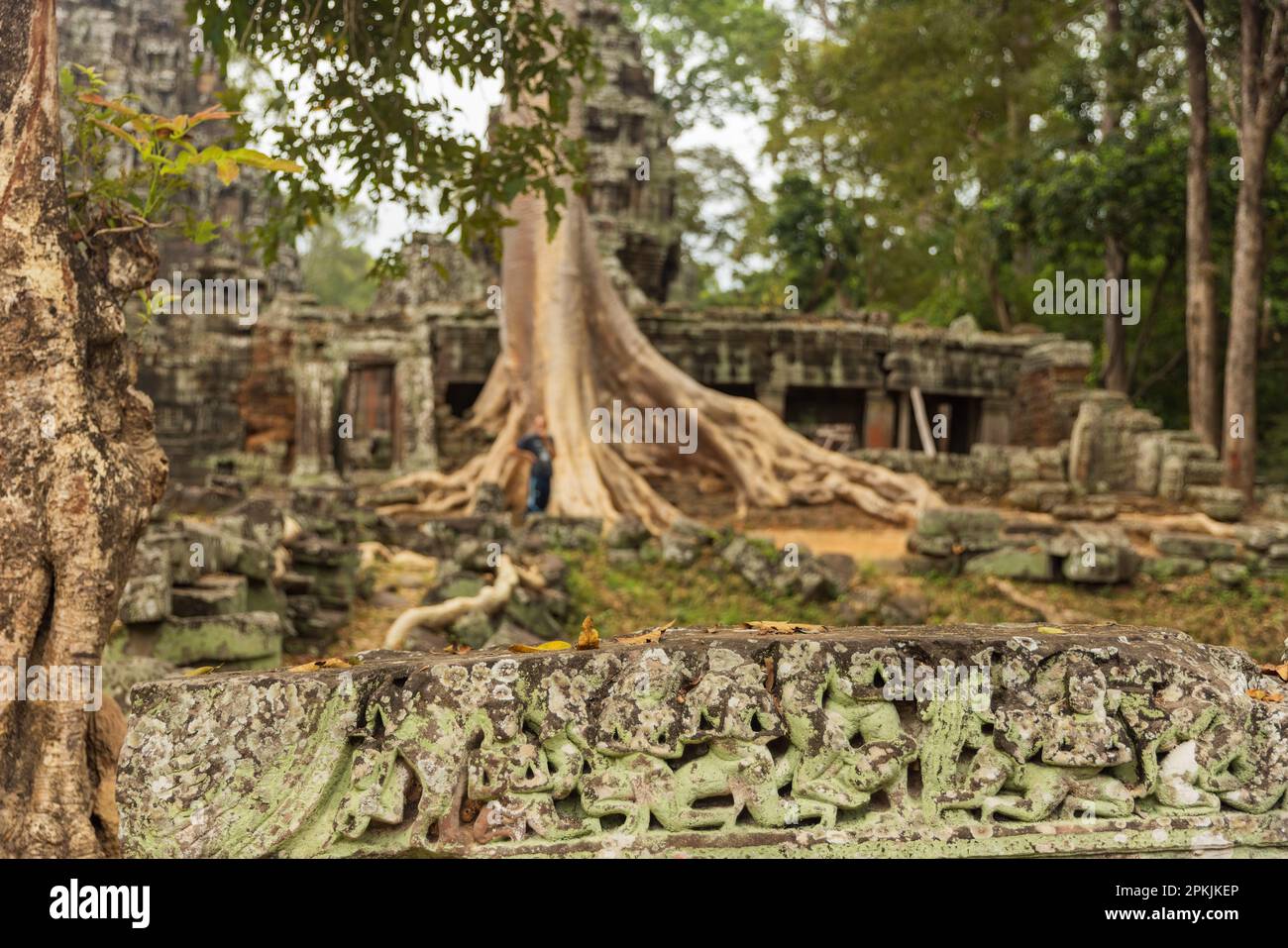 Panorama der antiken Steintür und Baum Wurzeln, Tempelruinen Ta Prohm, Angkor, Kambodscha Stockfoto