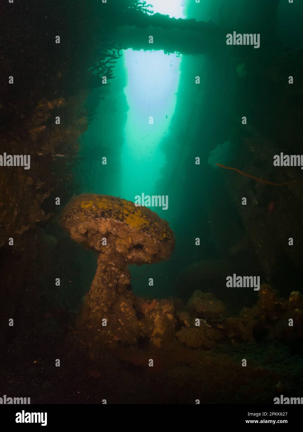 S s president coolidge Fotos und Bildmaterial in hoher Auflösung Alamy