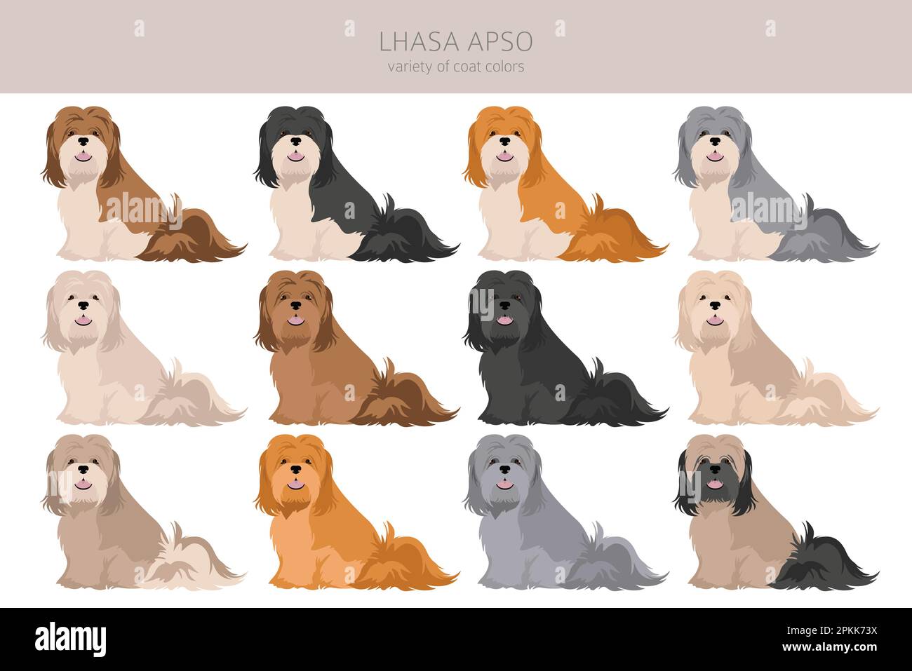 Clipart von Lhasa Apso. Verschiedene Posen, Fellfarben eingestellt. Vektorgrafik Stock Vektor