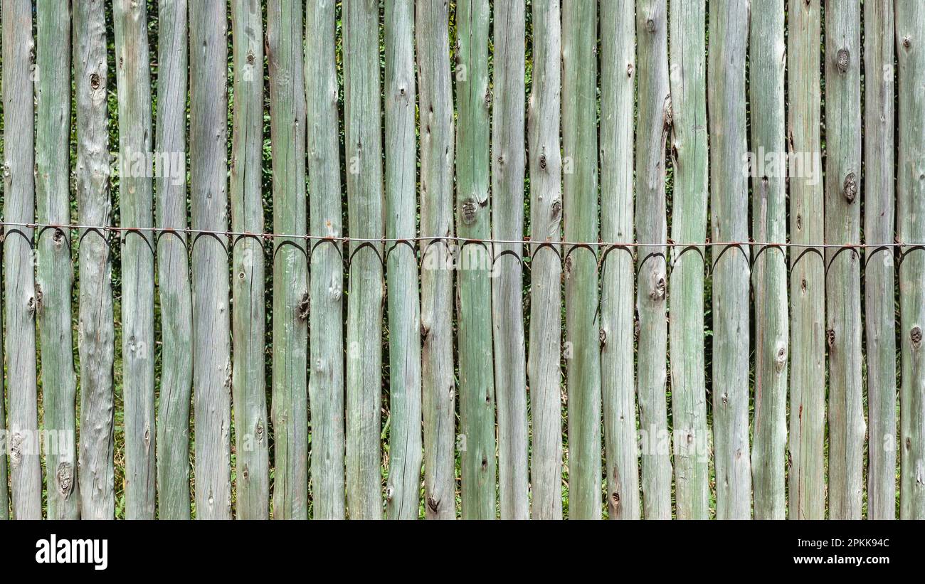 Wilde Buschholzstangen, die im Freien zusammengefesselt sind, verbergen touristischen Schutz. Stockfoto