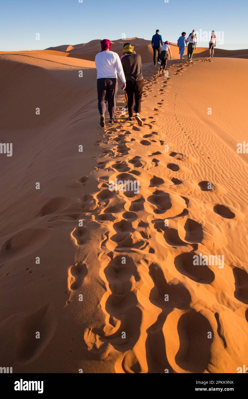 Touristen wandern durch die Wüstensanddünen in Merzouga Marokko Stockfoto