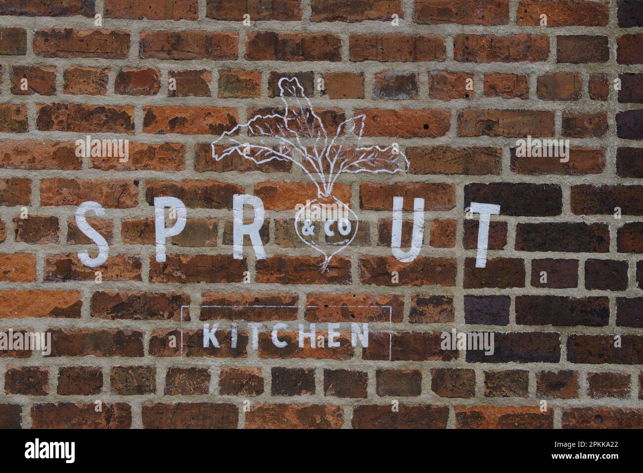 Graffiti im Zusammenhang mit Sprout & Co Kitchen, einer Restaurantkette in Dublin, die ihre eigenen biologischen Produkte anbaut und gesunde, saisonale Speisen serviert Stockfoto
