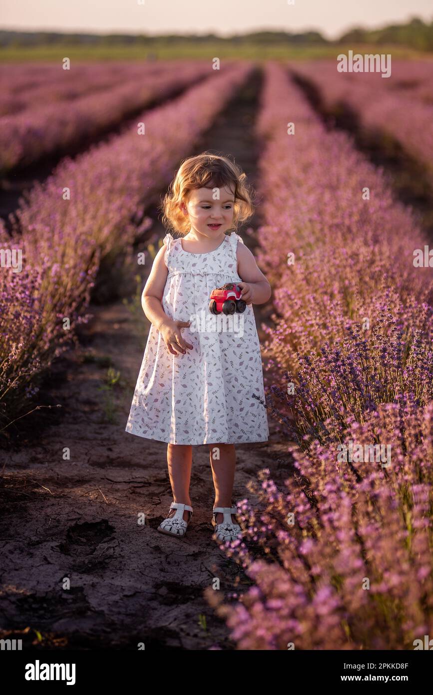 Ein kleines Mädchen im Blumenkleid läuft auf dem Feld zwischen den Reihen von lila Lavendel. Das Kind gräbt im Boden. Gehen Sie auf dem Land spazieren. Allergiekonzept. Stockfoto