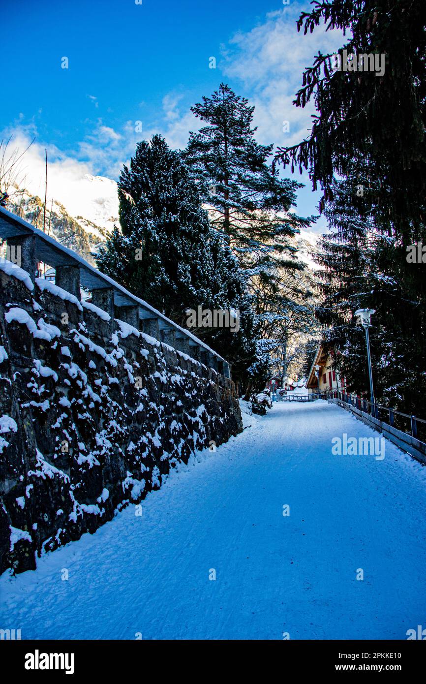 Schöner sonniger Tag in den verschneiten Schweizer Alpen, Wengen, Schweiz Stockfoto