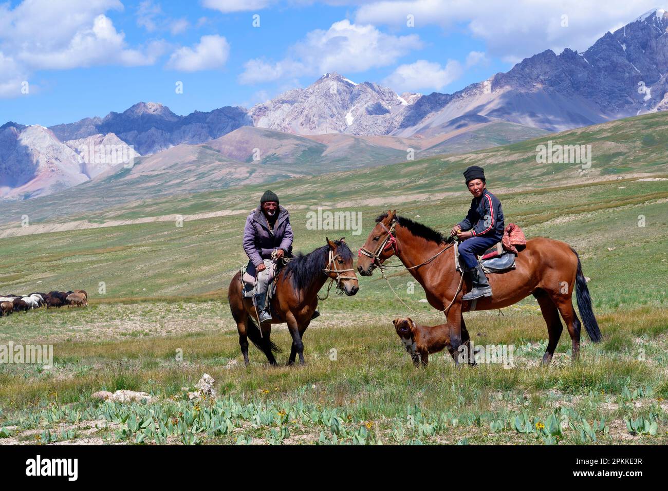 Kirgisische Nomaden und Schafherde, Tian-Shan-Gebirge nahe der chinesischen Grenze, Naryn-Region, Kirgisistan, Zentralasien, Asien Stockfoto