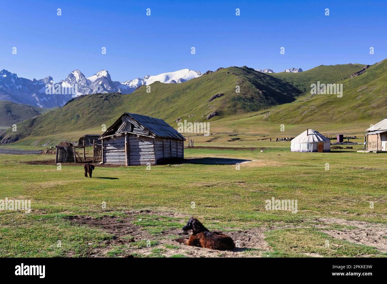 Einsamer hölzerner Unterschlupf in der Nähe des Bergsees Kol-Suu (Kel-Suu), des Kurumduk-Tals, der Provinz Naryn, Kirgisistan, Zentralasien, Asien Stockfoto
