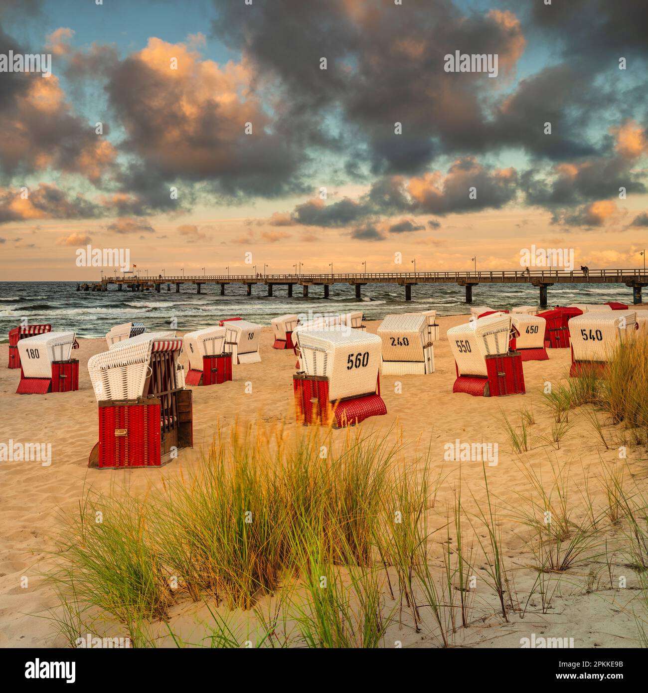 My Image 25