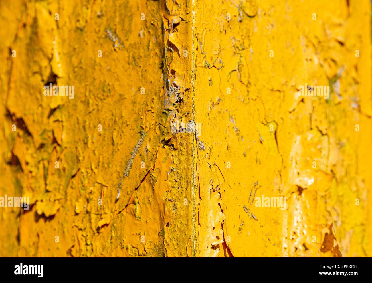 Abblätternde gelbe Farbe Stockfoto