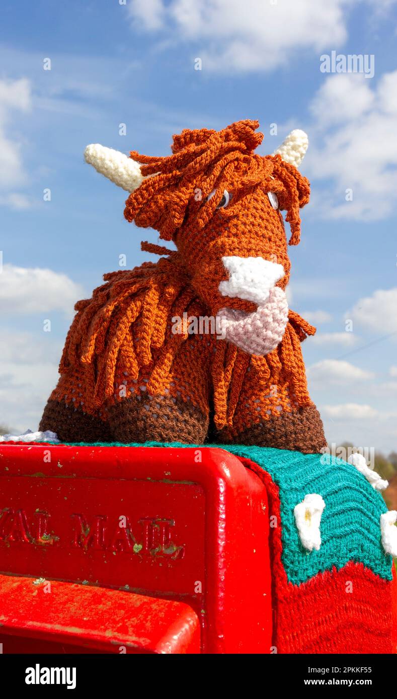 Gestrickte Highland-Kuh Dumelow's Dairy Stockfoto