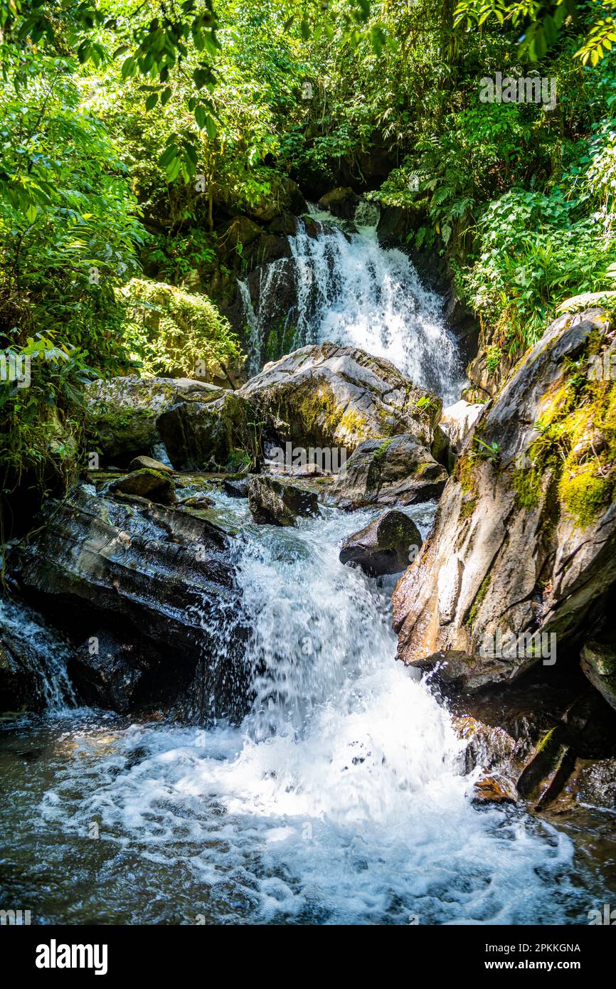 Wasserfall Couto, Südostreservate des Atlantikwalds, UNESCO-Weltkulturerbe, Alto Ribeira Touristic State Park, Sao Paulo State, Brasilien Stockfoto