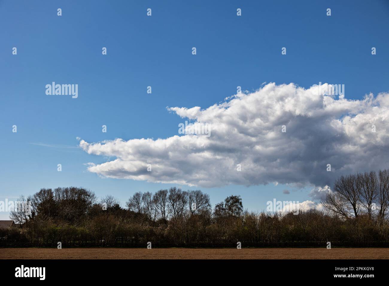 Eine Wolke am blauen Himmel im Frühling in Großbritannien Stockfoto
