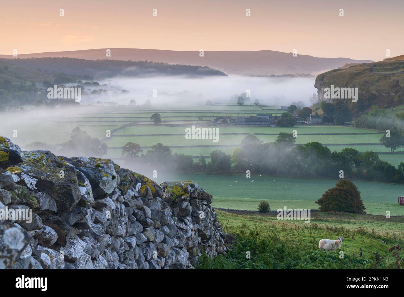 Kilnsey Crag und tief liegender Nebel bei Tagesanbruch in Wharfedale, The Yorkshire Dales, Yorkshire, England, Vereinigtes Königreich, Europa Stockfoto