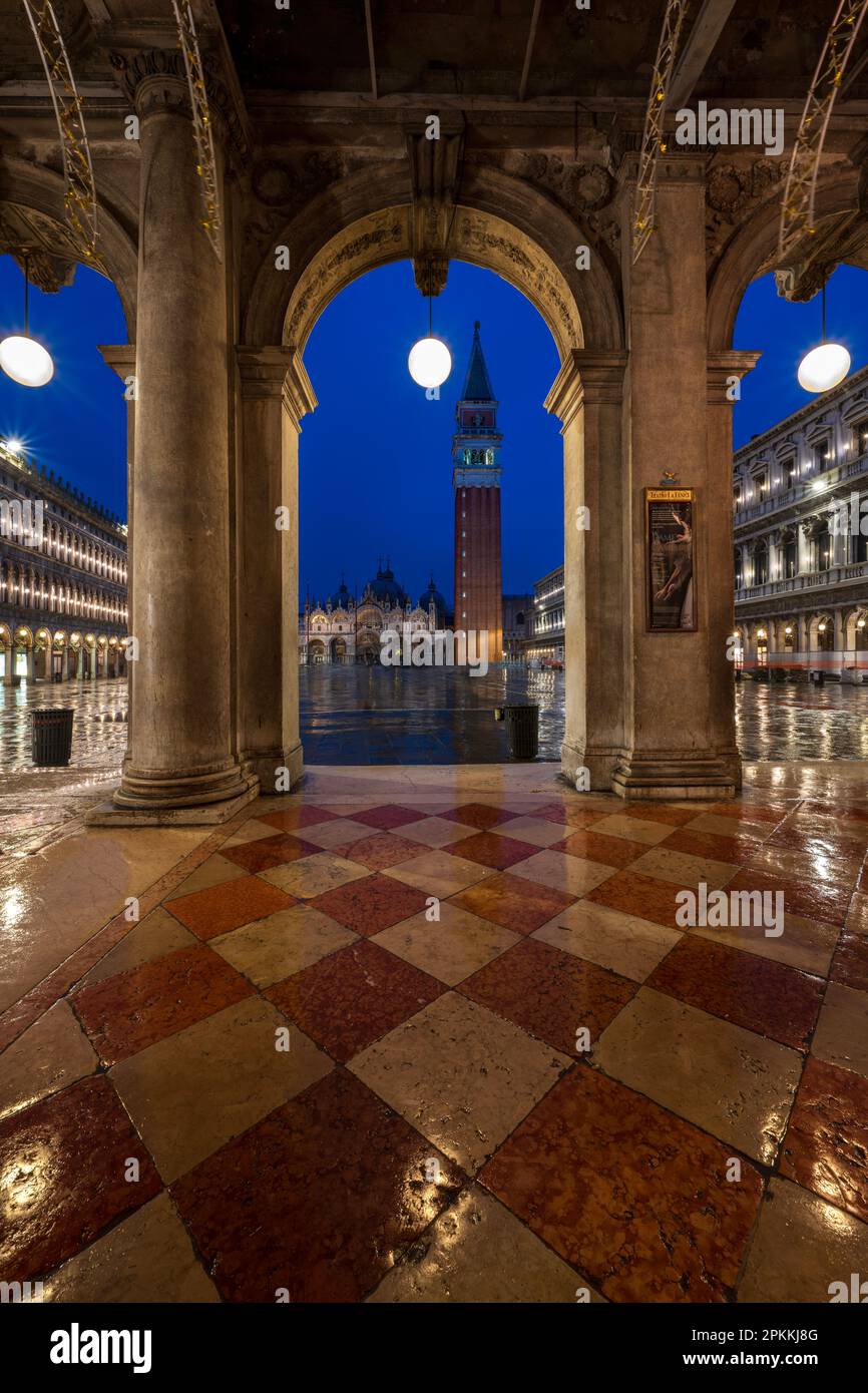 St. Markusplatz zur blauen Stunde mit dem Glockenturm Campanile, der durch Bögen, San Marco, Venedig, UNESCO-Weltkulturerbe, Venetien, Italien besichtigt wird Stockfoto