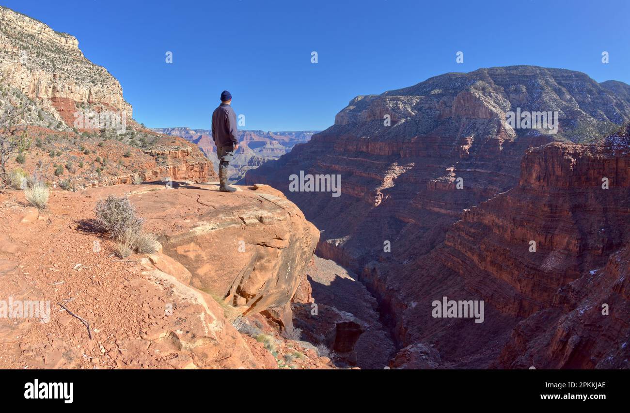 Ein Wanderer mit Blick von einer Klippe im Hermit Canyon am Grand Canyon, Grand Canyon National Park, UNESCO-Weltkulturerbe, Arizona Stockfoto