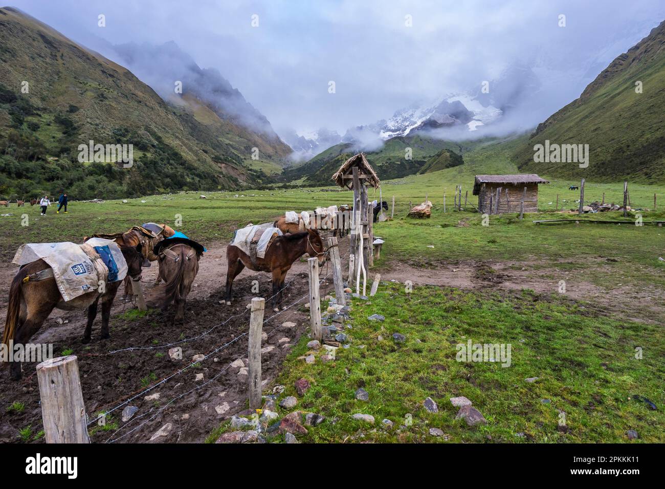 Soraypampa Camping Area, Salkantay Trek, Mollepata, die Anden, Cusco, Peru, Südamerika Stockfoto