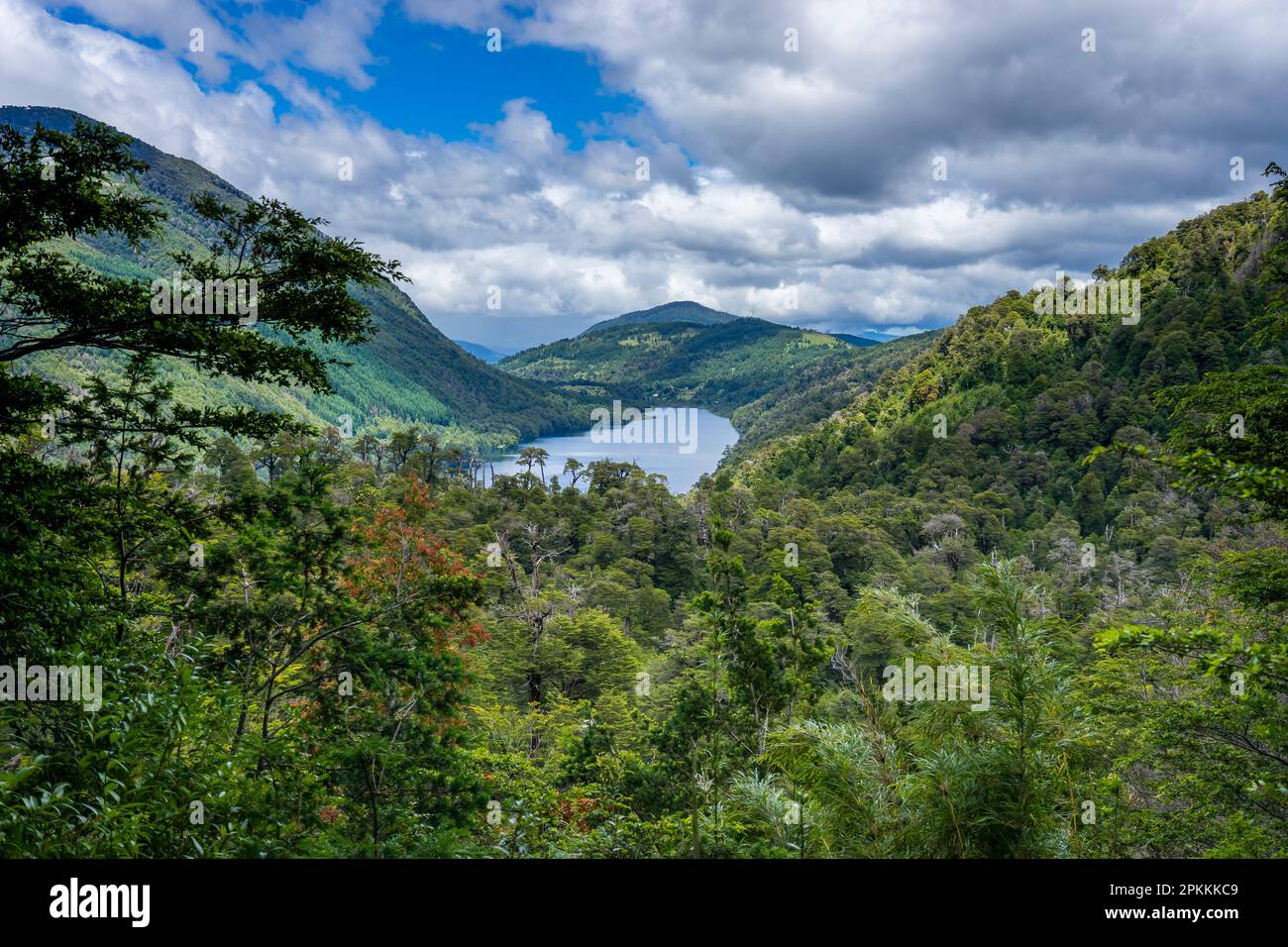 Tinquilco Lake, Huerquehue National Park, Pucon, Chile, Südamerika Stockfoto