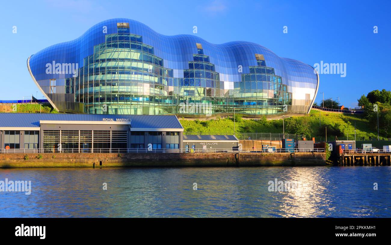 Die Salbei, Gateshead, Tyne and Wear, England, Vereinigtes Königreich, Europa Stockfoto