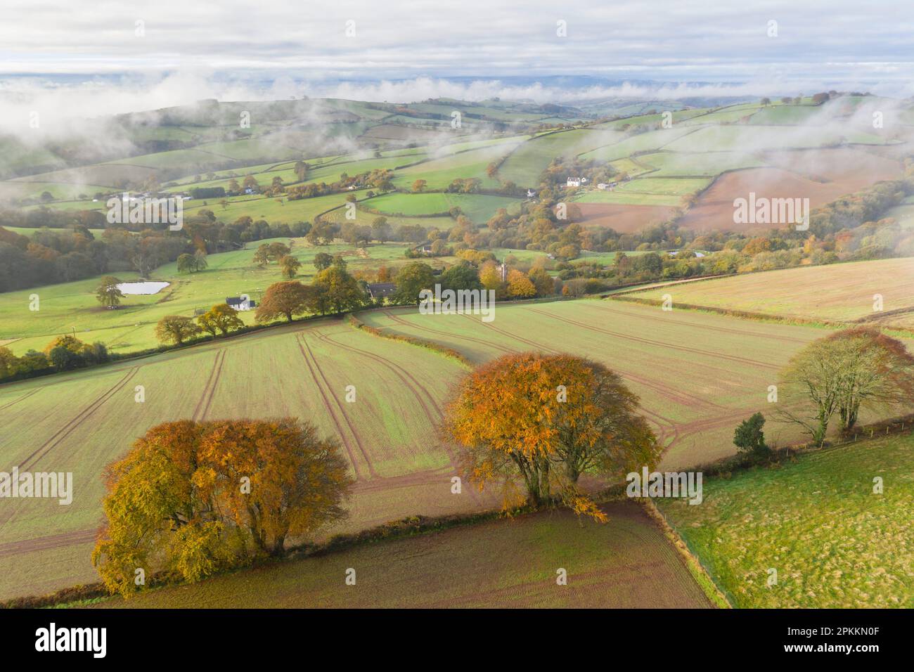 Herbstlandschaft von Cadbury Castle, Devon, England, Großbritannien, Europa Stockfoto