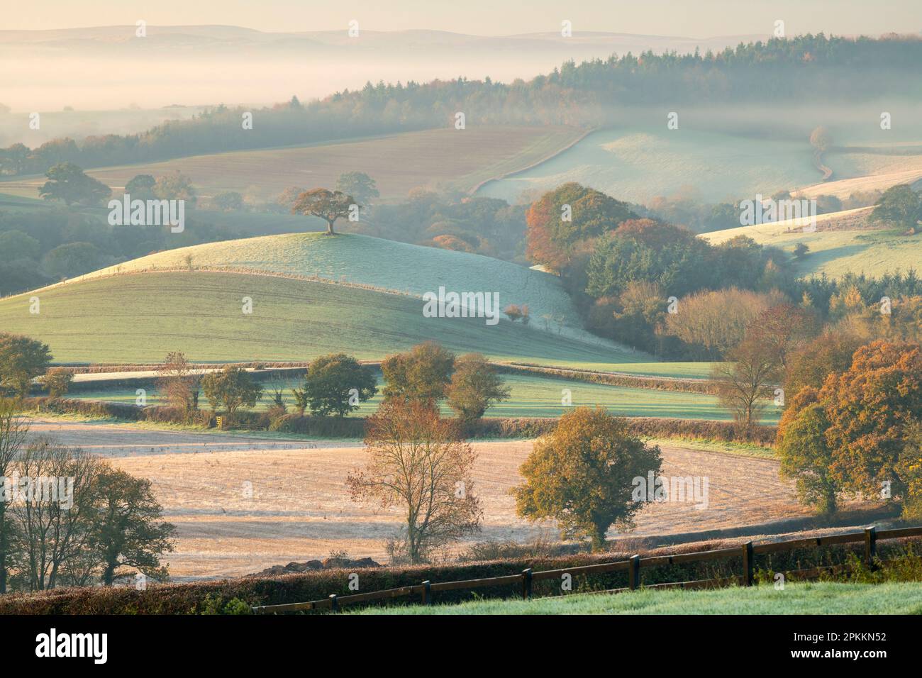 Wunderschöne sanfte Landschaft an einem frostigen Herbstmorgen, Devon, England, Großbritannien, Europa Stockfoto